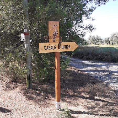Villa Casale L'Upupa Orvieto Esterno foto