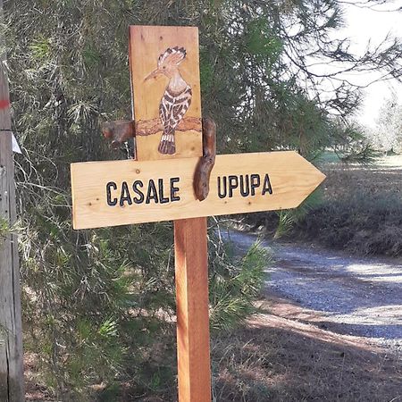 Villa Casale L'Upupa Orvieto Esterno foto