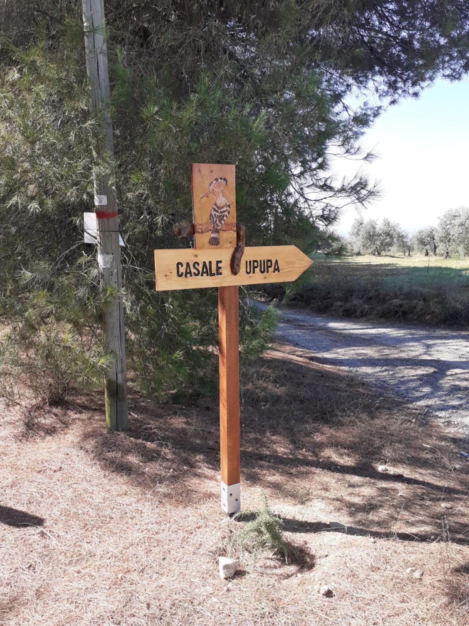 Villa Casale L'Upupa Orvieto Esterno foto