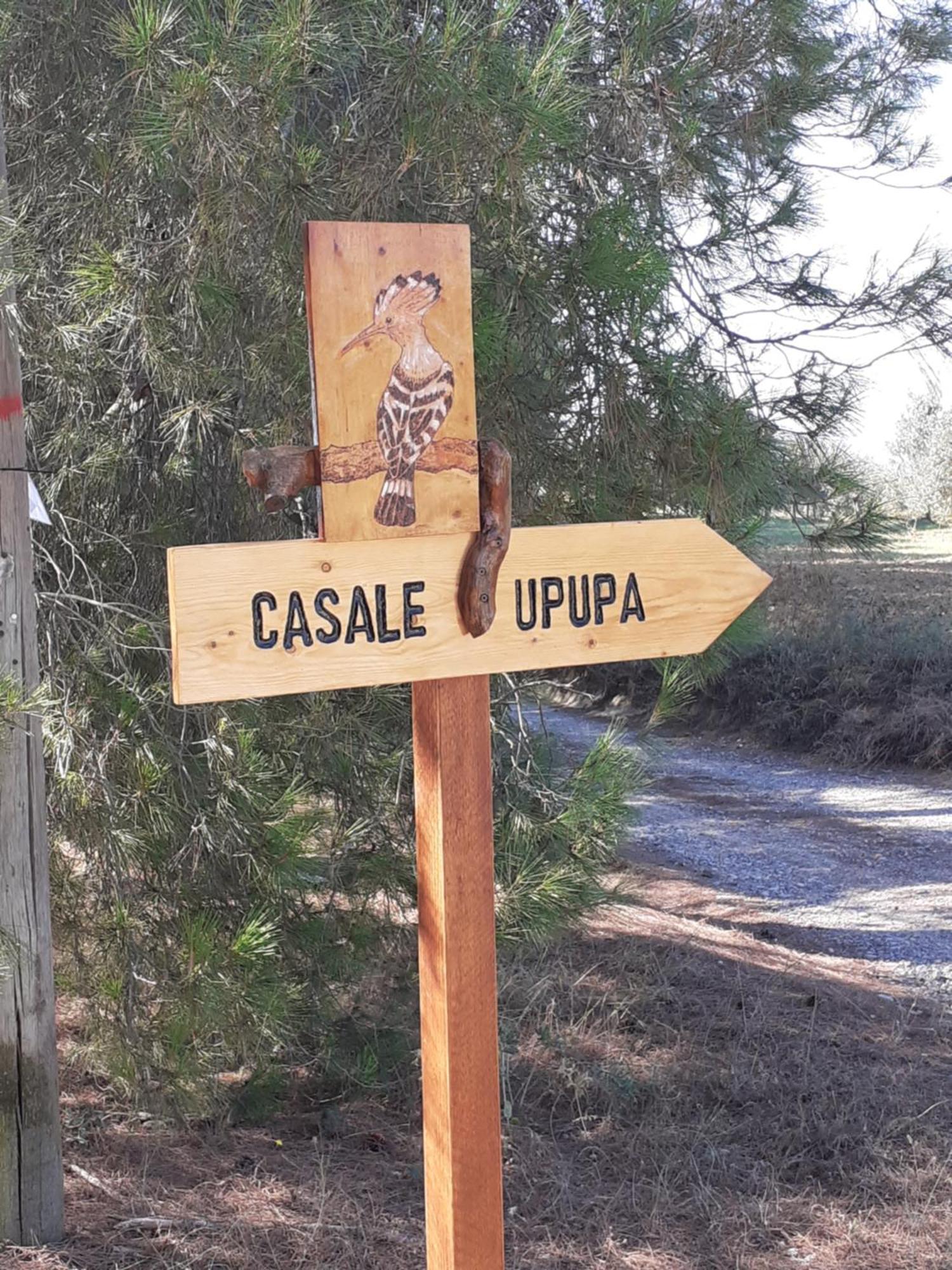 Villa Casale L'Upupa Orvieto Esterno foto